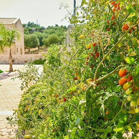 Aktis Luxury Chania (Crete)