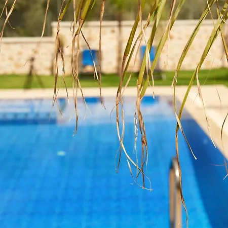 Villa Aktis Luxury Chania (Crete)